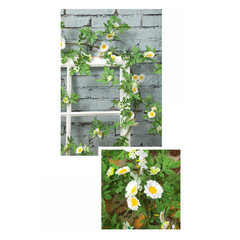 185cm Silk Daisy Vine with Flexible Stems for Vertical Garden and Wall Hanging