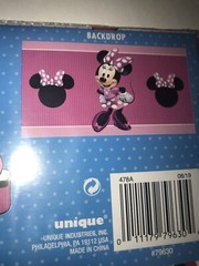 Disney Minnie Mouse Photo Booth Kit 1 Backdrop 4 Wearables 5 Props New