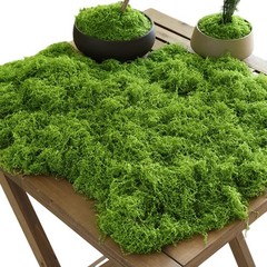 Artificial Moss Grass Mat 200g for Miniature Landscaping Model and Terrarium