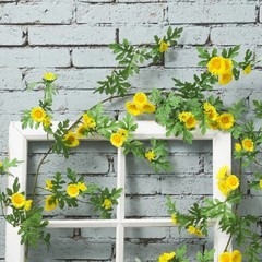 185cm Silk Daisy Vine with Flexible Stems for Vertical Garden and Wall Hanging