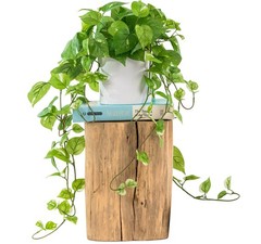 ROVALA Silk Plants for Home Decor Indoor in Pot Medium/Small, 01 Light Green