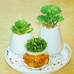 QUOZUO Green Succulent 1.4″ – 2.8″ in Width, 2.4″ – 5.1″ Length,