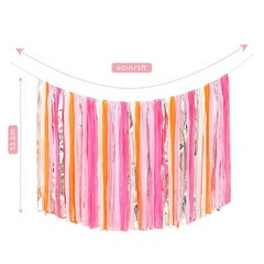 Sunset Sorbet Streamer Fringe Backdrop 5 FT Photo Booth Background Party