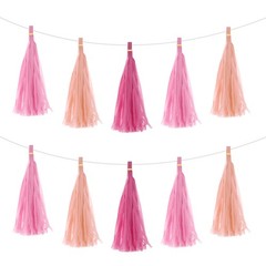 15Pcs Light Pink,Pink,Rose Red Tassel Garland Banner with Rope