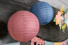 Paper Lanterns for Parties 8 Inches, Indoor Outdoor Hanging Decor, Multicolor