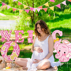 13 Pcs Baby Shower Yard Sign with Stakes, 12 Inch Its a Girl Lawn Garden Sign Ge