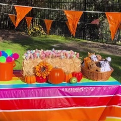 Rainbow Colors Striped Disposable Plastic Table Cover 100-Ft Roll 40″W #606