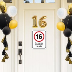 16th Birthday Party Decorations – 9PCS Wall Signs Funny Tags for Teens 16 Yea…