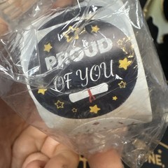 Graduation Party Pack 30 Cards & 500 Stickers Black, Gol, White. Open Box