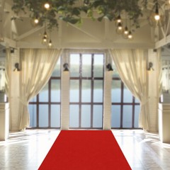 Red Carpet Runner Hollywood Birthday Party Decoration 33ft Non-slip Runway Rug
