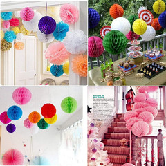 8Pcs 10 Inch Paper Honeycomb Balls Decorative Tissue Pom Poms Flower Art Hanging