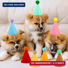 10 Pcs Mini Birthday Party Hats Multicolor Lovely Cone Hats for Animals Stuffed