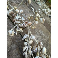 Seashell garlands Coastal Shell wire decor nautical natural marine beach ocean 2