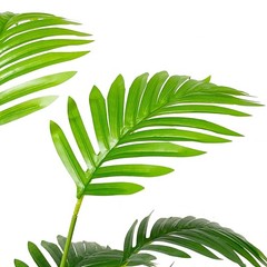Rozwkeo Artificial Plants in Pots Large Fake Tree Floor 80cm Tall Palm, Green