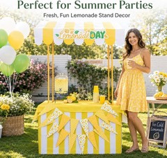 Lemonade Stand Kit Lemonade Stand Supplies Include Lemon Shelf Roof Sign Pennant
