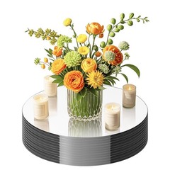 Round Mirror Centerpieces Acrylic Circle Tray Candle Plate 8 Inch 10 PCS
