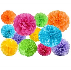 Paper Pom Poms Kit Tissue Flowers Multicolor Assorted Sizes Party Decor 12 PCS
