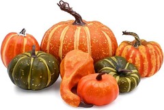 ADQUATOR Artificial Pumpkins 7 Pieces Orange Green Autumn Decoration Plastic New