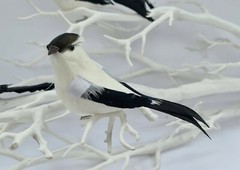 3 Artificial Black White Feather Fake Clip Birds Home Decoration Craft Art Model