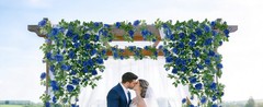 5 Pack Artificial Royal Blue Rose Vines Floral Garlands Total 32.5 Ft Fake Vine