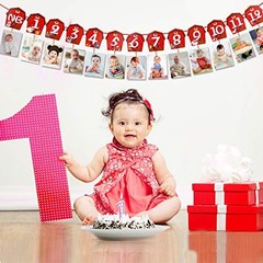 Farm Animal Theme Photo Banner 1st Birthday Monthly Banner Newborn to 12 Month