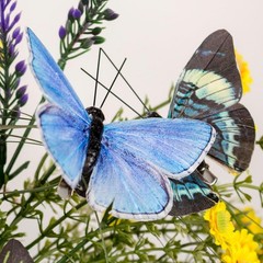 -Artificial Feather 3D Butterfly Party Decorations Set of 12 with Clip 12 Color