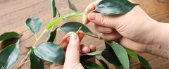 Mizii 3 Packs Artificial Vines Garland 78» Fake Ficus Vine Greenery Garland
