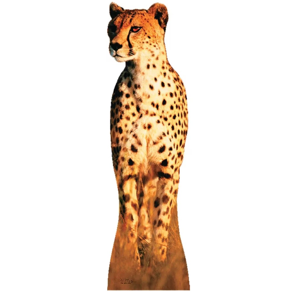 CHEETAH STANDUP – Party Decor – 1 Piece