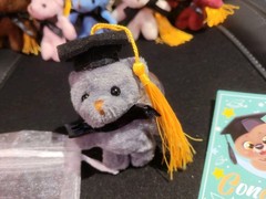One Mini Teddy Keychain Plush Gray Graduaction Bears With Card & White Gift Bag