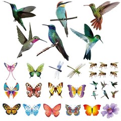 32 Pieces Extra Large Hummingbird Butterfly Window 32 Pieces, Multicolour