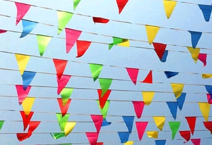 lot of 4 Flag Banners Multi Colour Bunting Party Event Home Garden Decoration