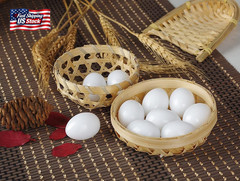 10Pcs Solid Parrot Plastic Fake Eggs Realistic, Simulated Fake Bird Eggs for Hat