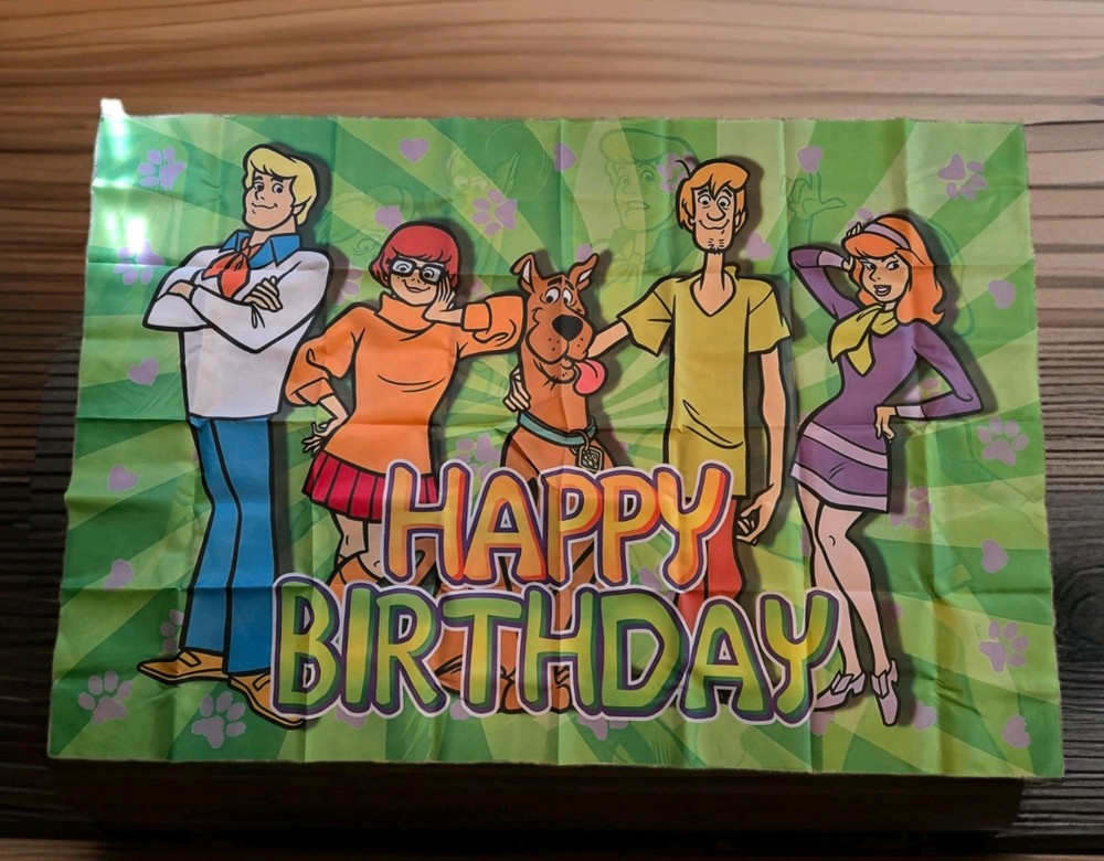 Animated TV Cartoon Birthday Party Decor With A 39×57 Inch Banner