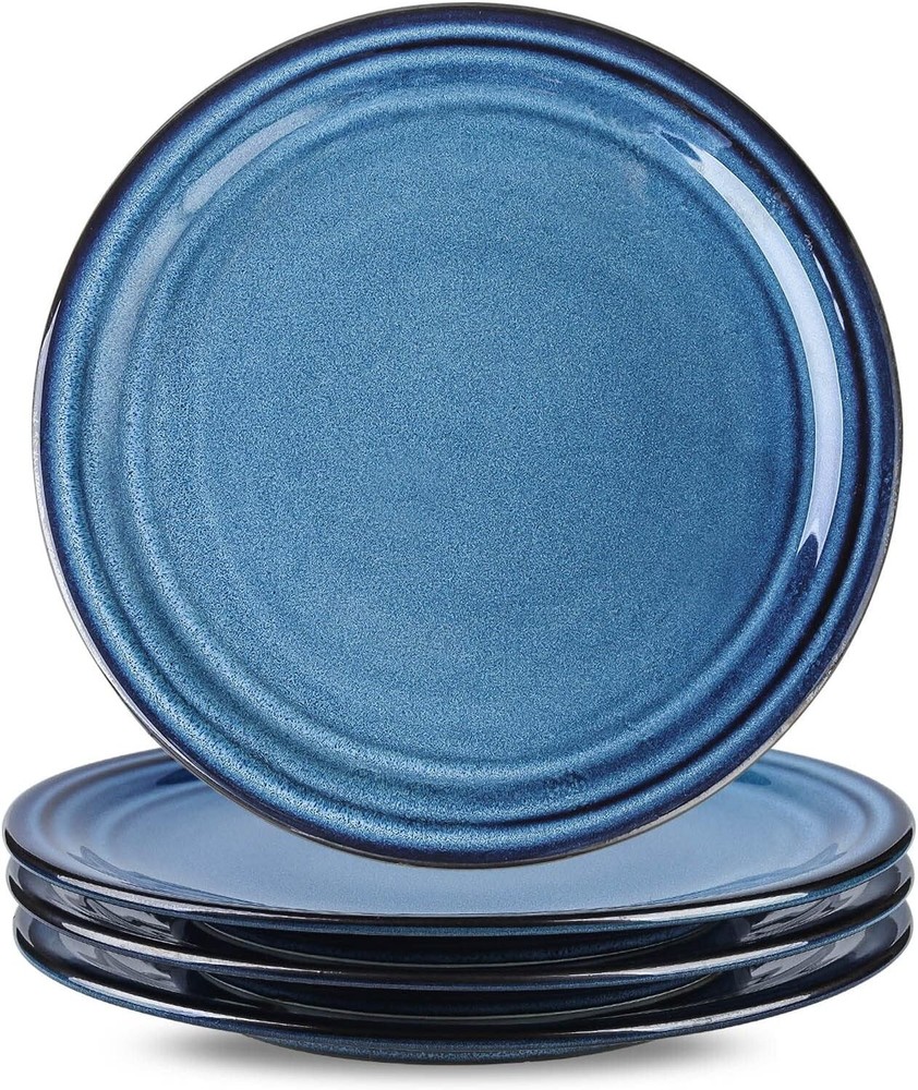 Hasense Ceramic Dinner Plates Set of 4, 10 Inch Large Porcelain Plates