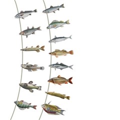 Fish Shape Hanging Decoration Ceiling Ornament For Birthday Party Decoration