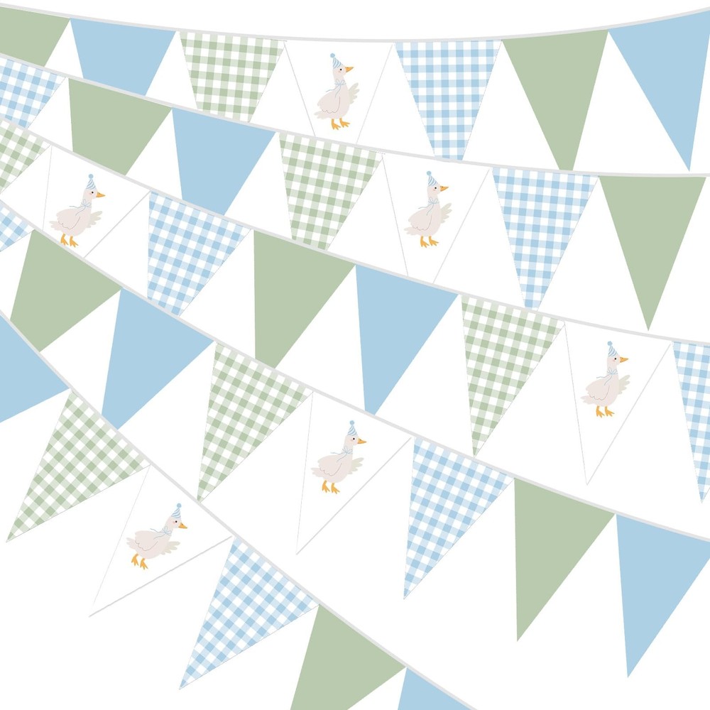 5 Pcs Silly Goose Party Decorations Blue Green Gingham Print Pennant Banners …