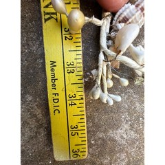 Seashell garlands Coastal Shell wire decor nautical natural marine beach ocean 2