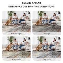 Washable Rug 6×9, Abstract Morden Soft Area Rug, Non-Slip Low Pile Rugs for L…