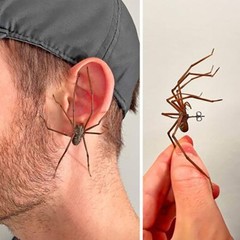 Realistic Spider Earrings Scary Spider Earrings Hand Cuff Costume Cosplay Partys