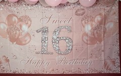 Stylish Rose Gold 16th Birthday Banner – Perfect Backdrop for Celebrating Girls