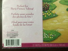 DISNEY PRINCESS Party wall BACKDROP Cinderella Princess Fairytale Castle