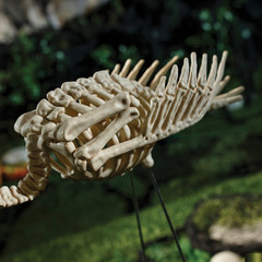 Flamingo Skeleton 27 In – Seasons