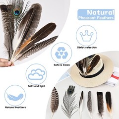 Large Natural Feathers Bulk-35PCS- 6 Styles Assorted Natural Feathers, Peacoc…