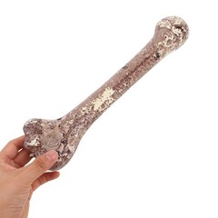 4 Pcs Halloween Decoration Bones Accessories Artificial Prank Prop