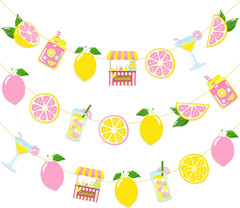 2Pcs Pink Lemonade Party Banners Lemon Citrus Garland, Summer Fruit Lemonade Sta