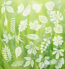Window Clings for Birds, 26 Pcs Decals to Prevent Bird Strikes Clear