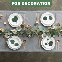300PCS+ Real Eucalyptus Leaves for Shower – Sukh Dried Green