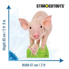 Pimpi Cardboard Cutout 85cm x 61cm With Free Mini IN Feet – Animal Yard
