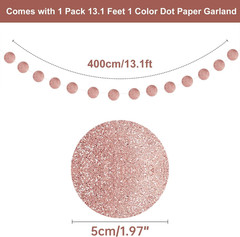 Rose Gold Party Decorations Set – Rose Gold Glittery Happy Birthday Banner, Foil