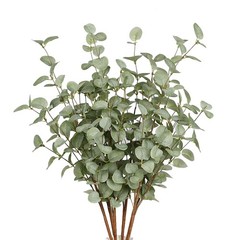 VGIA 6 Pcs 27″ Eucalyptus Stems Greenery 27 Inch x 9.5 Inch, Green – 6